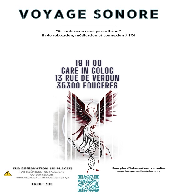VOYAGE SONORE